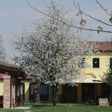 Апартаменти Particolari Del Brenta Оріаго-Ді-Міра Екстер'єр фото