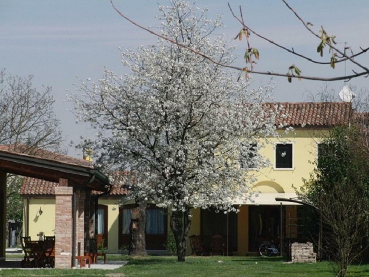 Апартаменти Particolari Del Brenta Оріаго-Ді-Міра Екстер'єр фото